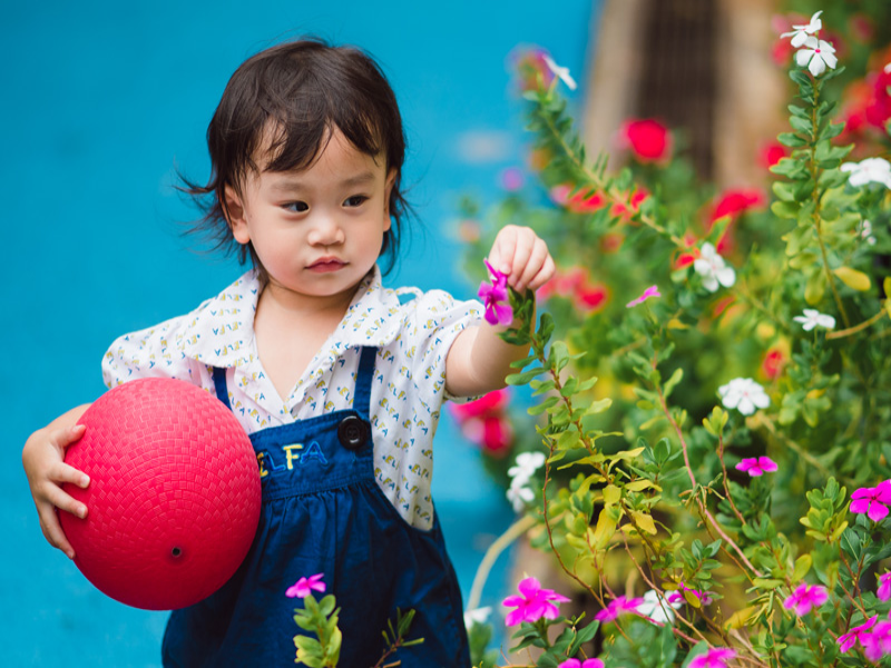 Understanding Toddler Curiosity