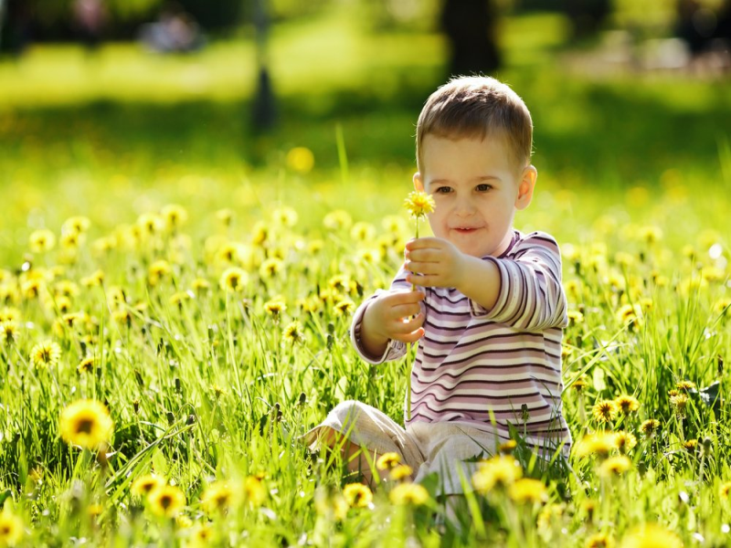 Understanding Toddler Curiosity